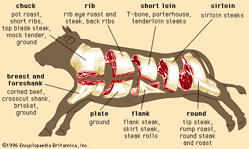 Cuts of Beef